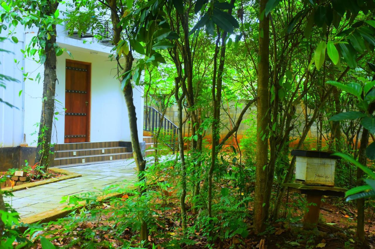 Forest Dew Udawalawa อุดาวาลาเว ภายนอก รูปภาพ