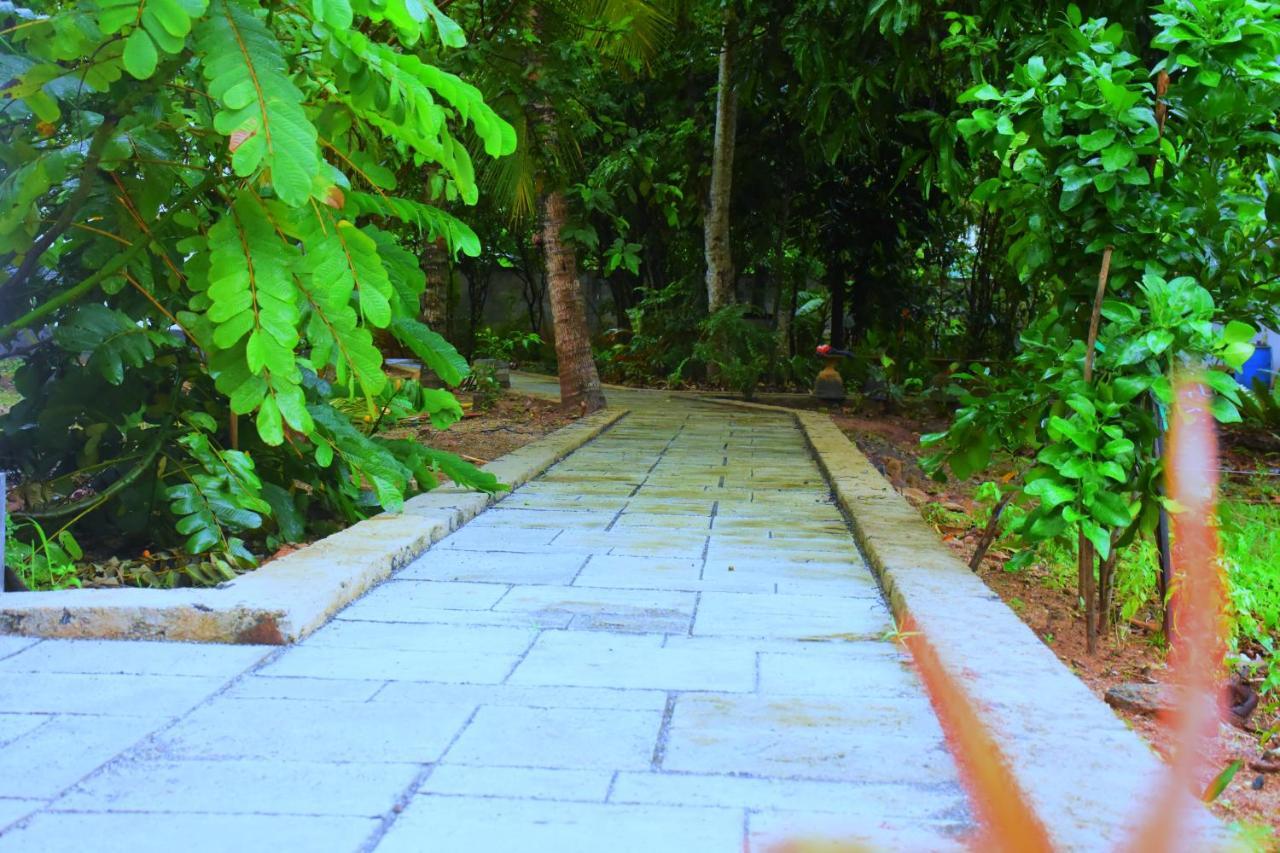 Forest Dew Udawalawa อุดาวาลาเว ภายนอก รูปภาพ